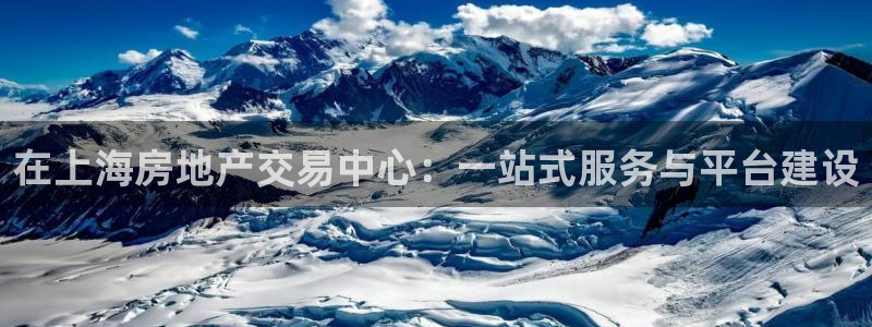 新宝5登录地址：在上海房地产交易中心：一站式服务与平台建设
