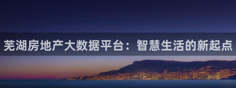 新宝5娱乐都：芜湖房地产大数据平台：智慧生活的新起点