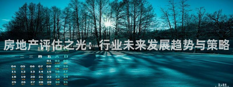 p5r新宝魔：房地产评估之光：行业未来发展趋势与策略