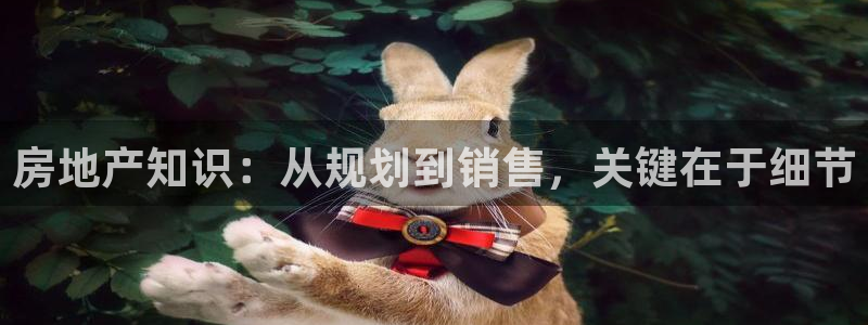 新宝5娱乐主管