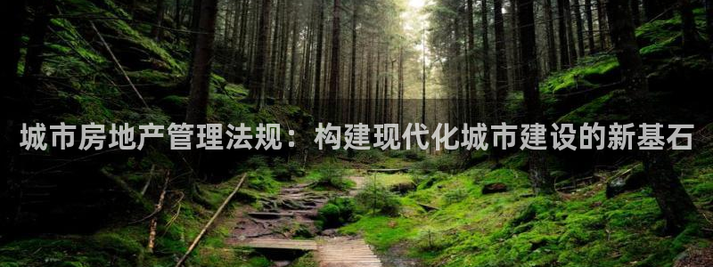新宝5娱乐学