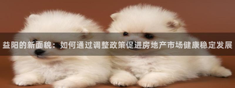 新宝5源码：益阳的新面貌：如何通过调整政策促进房地产市场健康