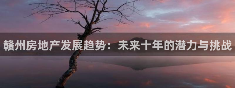 菲律宾新宝5老板：赣州房地产发展趋势：未来十年的潜力与挑战