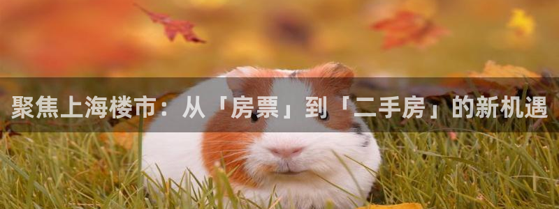 下载新宝5：聚焦上海楼市：从「房票」到「二手房」的新机遇