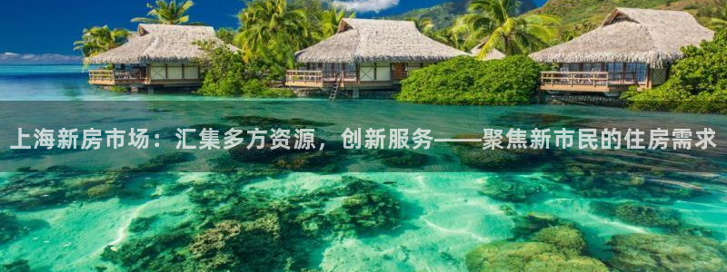 新宝5首页：上海新房市场：汇集多方资源，创新服务——聚焦新市