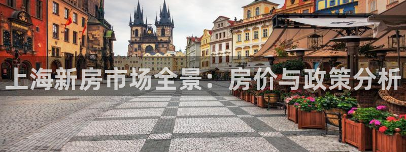 新宝5彩票平台登陆：上海新房市场全景：房价与政策分析
