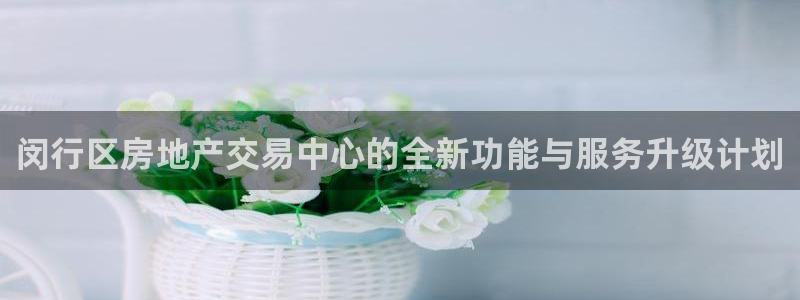新宝h2O5O5O：闵行区房地产交易中心的全新功能与服务升级