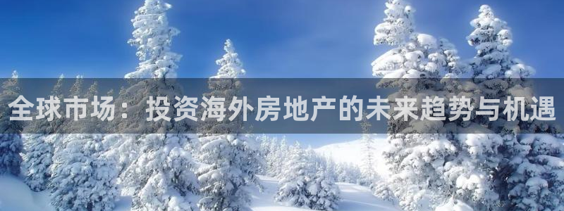 新宝5如何注册：全球市场：投资海外房地产的未来趋势与机遇