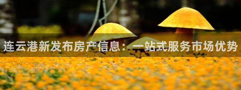 新宝5登录地址：连云港新发布房产信息：一站式服务市场优势