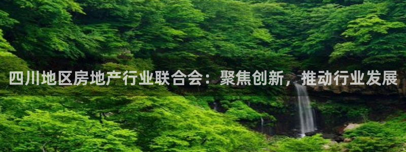 新宝5手机测速：四川地区房地产行业联合会：聚焦创新，推动行业