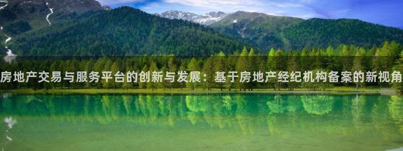 新宝5手机版登录：房地产交易与服务平台的创新与发展：基于房地