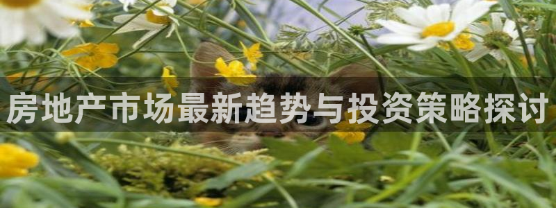 新宝5官网app：房地产市场最新趋势与投资策略探讨