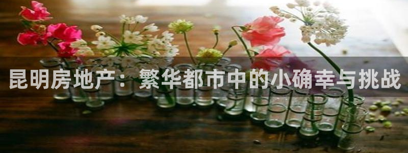 新宝5巅峰：昆明房地产：繁华都市中的小确幸与挑战