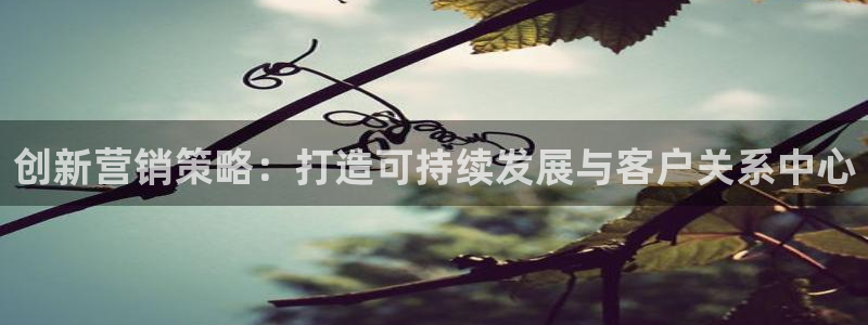 新宝5吴74OOO5：创新营销策略：打造可持续发展与客户关系