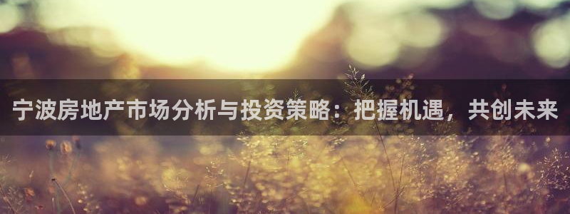 新宝5线路登录检测：宁波房地产市场分析与投资策略：把握机遇，