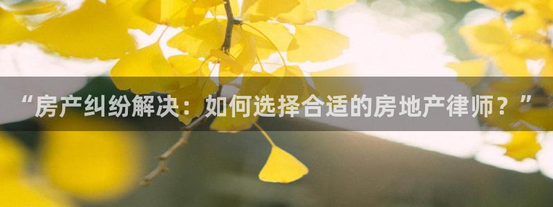 新宝5网站：“房产纠纷解决：如何选择合适的房地产律师？”