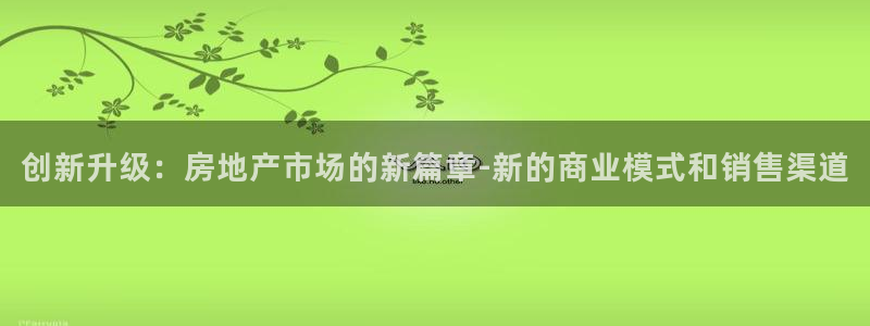 新宝股东张听2 5 5：创新升级：房地产市场的新篇章-新的商