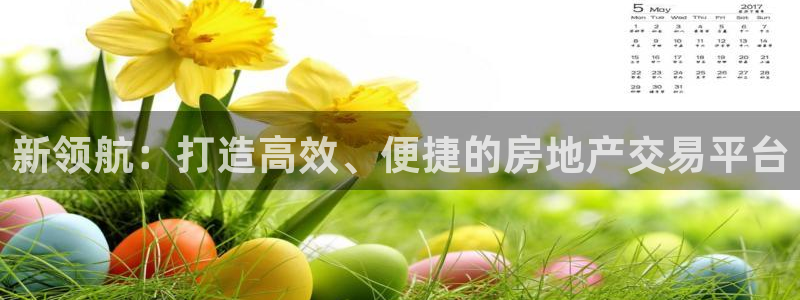 新宝5 888：新领航：打造高效、便捷的房地产交易平台