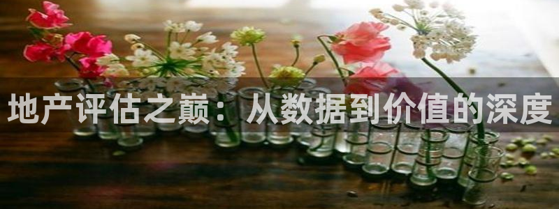 新宝cR一5：地产评估之巅：从数据到价值的深度