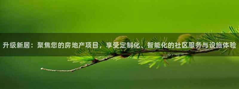 新宝5直属：升级新居：聚焦您的房地产项目，享受定制化、智能化