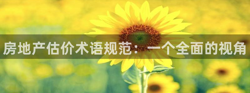 新宝5X：房地产估价术语规范：一个全面的视角