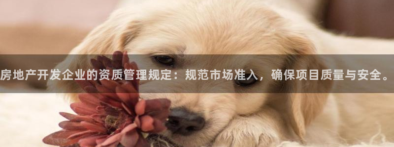 新宝5代理：房地产开发企业的资质管理规定：规范市场准入，确保
