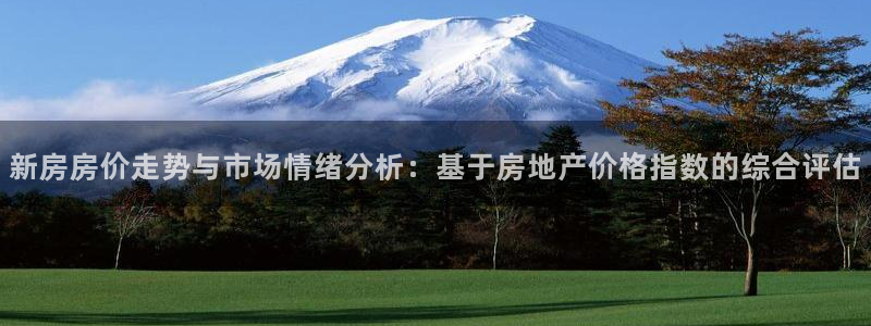 新宝5登录界面：新房房价走势与市场情绪分析：基于房地产价格指