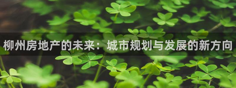 新宝5如何注册登录：柳州房地产的未来：城市规划与发展的新方向