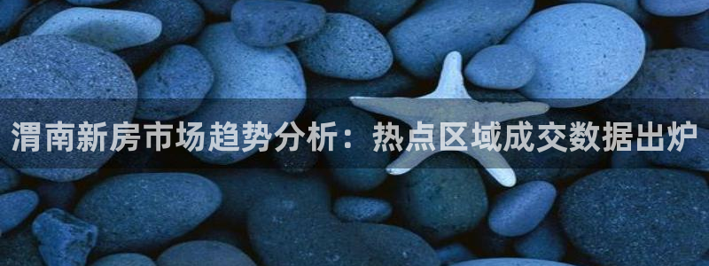新宝5策略：渭南新房市场趋势分析：热点区域成交数据出炉