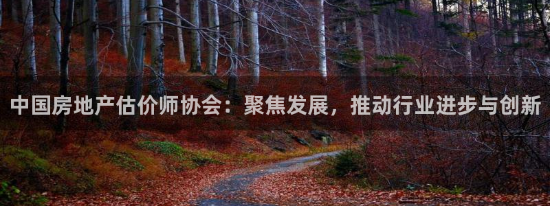 新宝5娱乐方：中国房地产估价师协会：聚焦发展，推动行业进步与