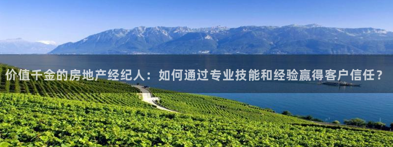 新宝5主管：价值千金的房地产经纪人：如何通过专业技能和经验赢