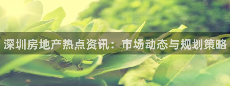 新宝5侹刔：深圳房地产热点资讯：市场动态与规划策略