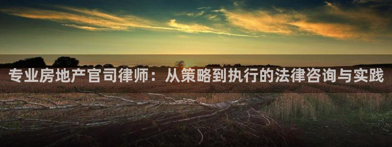 新宝5电脑登录网址：专业房地产官司律师：从策略到执行的法律咨