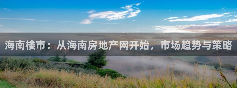 新宝5登陆：海南楼市：从海南房地产网开始，市场趋势与策略