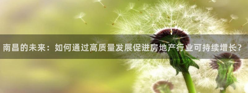 新宝rm5：南昌的未来：如何通过高质量发展促进房地产行业可持