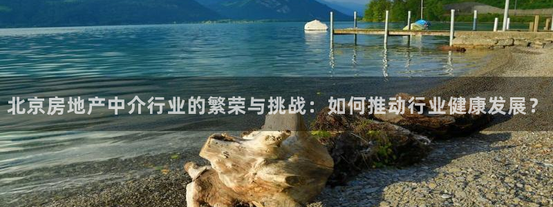 新宝5官方网站：北京房地产中介行业的繁荣与挑战：如何推动行业
