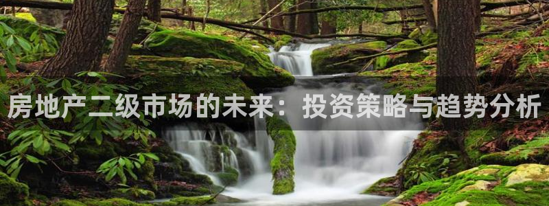 新宝5平台登录：房地产二级市场的未来：投资策略与趋势分析