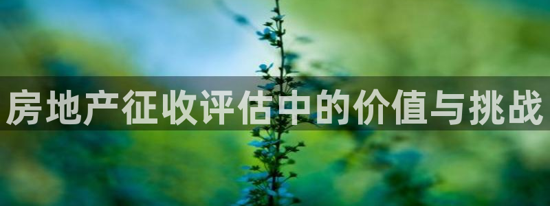 i新宝5：房地产征收评估中的价值与挑战