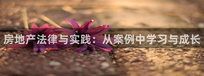 新宝m2O5O5O：房地产法律与实践：从案例中学习与成长