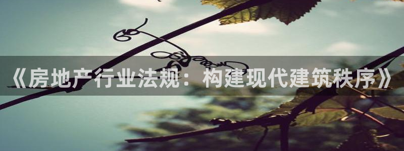 新宝速5：《房地产行业法规：构建现代建筑秩序》