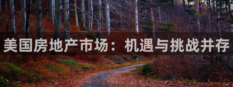 新宝5下载 迅雷下载：美国房地产市场：机遇与挑战并存