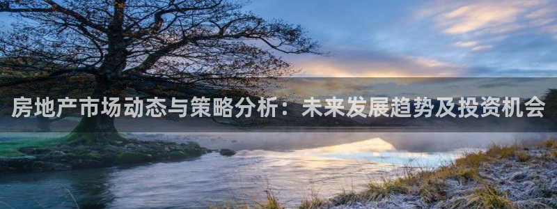 新宝5是什么：房地产市场动态与策略分析：未来发展趋势及投资机