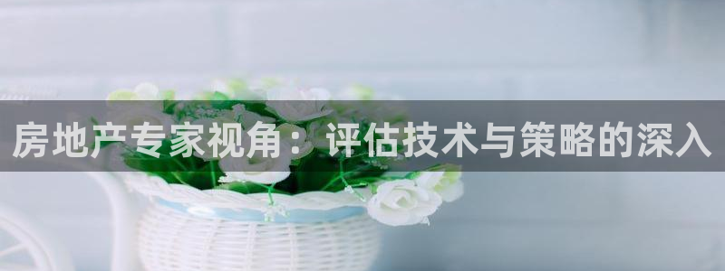 i新宝5：房地产专家视角：评估技术与策略的深入
