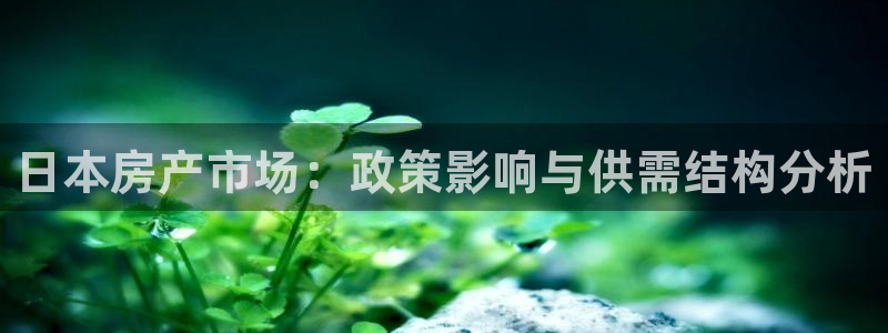 新宝5的网址：日本房产市场：政策影响与供需结构分析