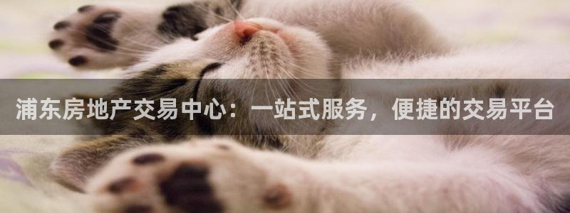 新宝5登录：浦东房地产交易中心：一站式服务，便捷的交易平台