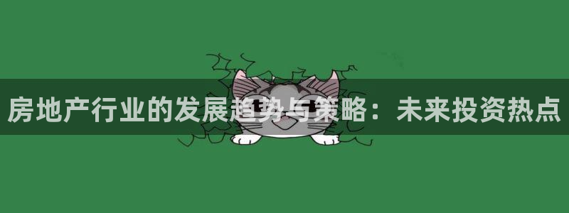 新宝G5：房地产行业的发展趋势与策略：未来投资热点