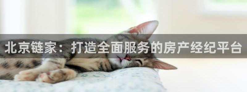 新宝5如何注册：北京链家：打造全面服务的房产经纪平台