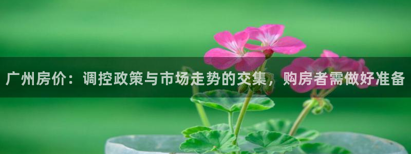 新宝5登陆：广州房价：调控政策与市场走势的交集，购房者需做好