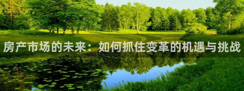 新宝5骗术：房产市场的未来：如何抓住变革的机遇与挑战