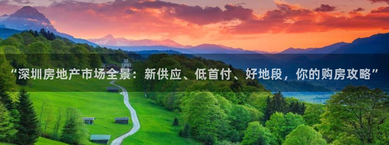 新宝5登录：“深圳房地产市场全景：新供应、低首付、好地段，你